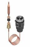 Termostatast TPC 40 - 60 °C 