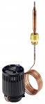 Elementas termostatinis RAVK 25-65*C 