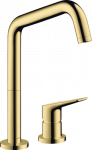 Plautuvės maišytuvas Hansgrohe 2 dalių AxCtterioM,spalvotas 