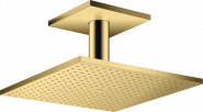 Dušo galva Hansgrohe AX iš lubų 30x30su alkūne,spalvota 