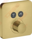 Potinkinio termostatinio maišytuvo dekoratyvinė dalis Hansgrohe AxCitterioE 2t, spalvota 