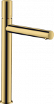 Praustuvo maišytuvas Hansgrohe AX UNO260 Zero,m.auks. 