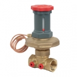 Reguliatorius slėgio perkryčio 1 1/4"  R206C  Kv 6,95 