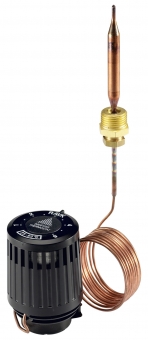 Elementas termostatinis RAVK 25-65*C 