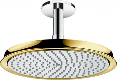 Dušo galva Hansgrohe iš sien 24 raindance cl,auks. 