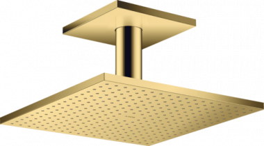 Dušo galva Hansgrohe AX iš lubų 30x30su alkūne,spalvota 