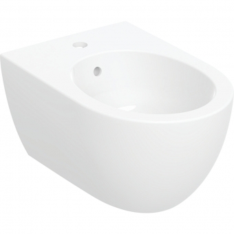 Bidė pakabinama Geberit Acanto T53 cm 