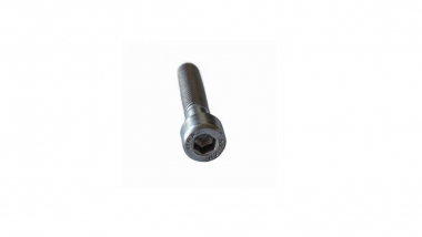 Allen varžtai su cilindrine galva A2 M8x25mm 