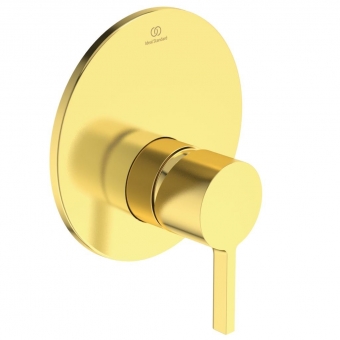 Dalis dekoratyvinė potinkinio dušo maišytuvo Ideal Standard Joy,spalva - Brushed Gold (reikalinga potinkinė dalis A1000NU) 
